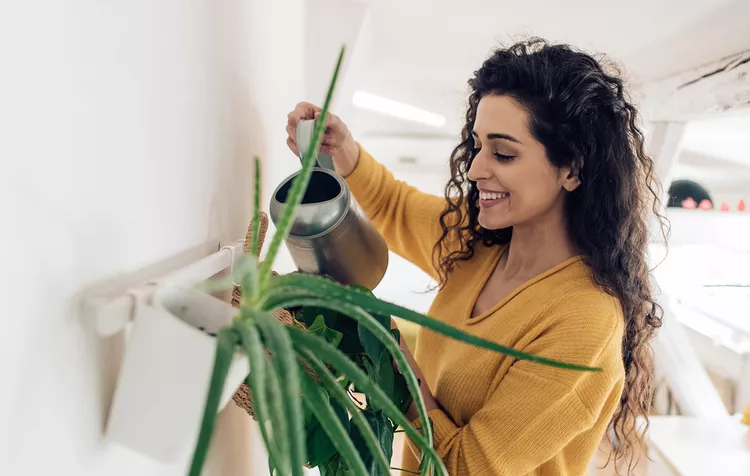 Our Plant Personality Quiz Reveals What Your Plants Say About You