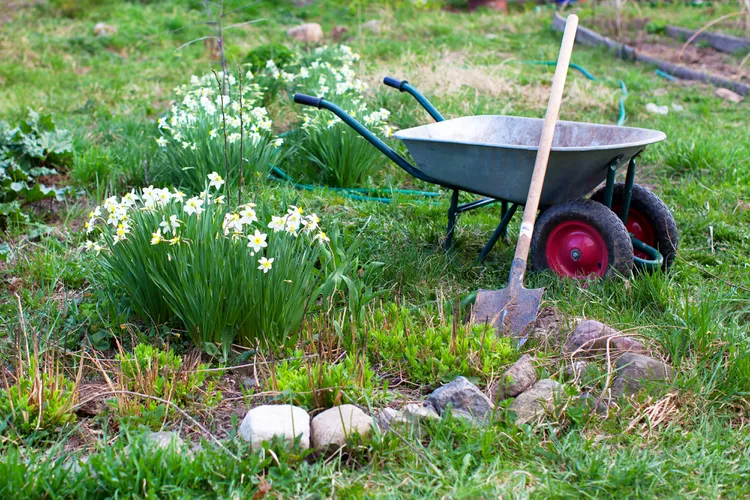 Don't Start Yard Cleanup in Spring Too Soon—Here's Why