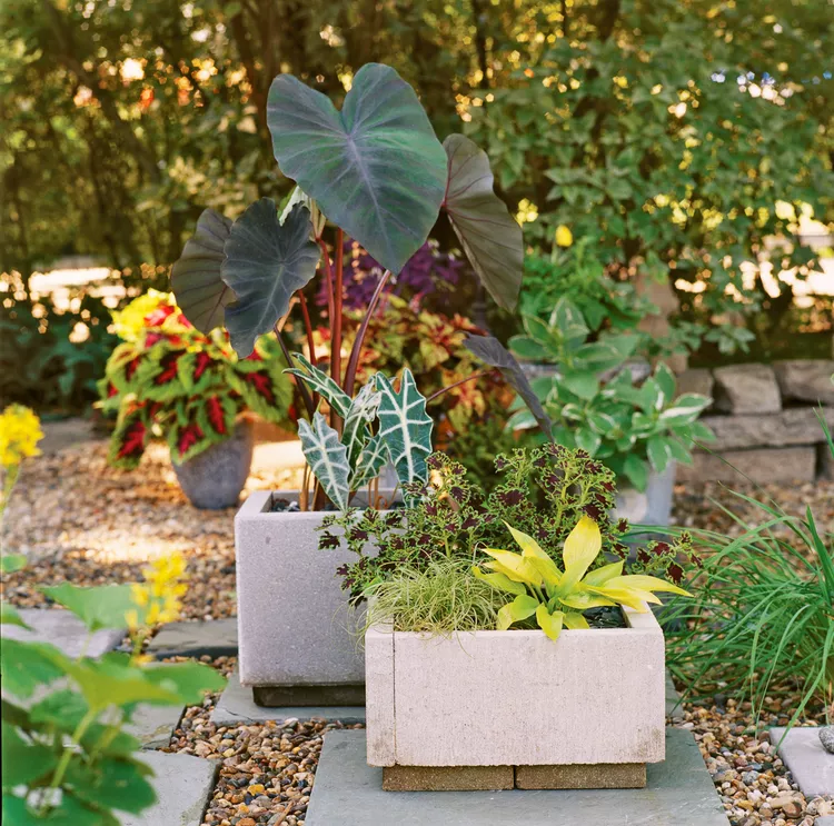 Easy 4-Step DIY Paver Planter Box