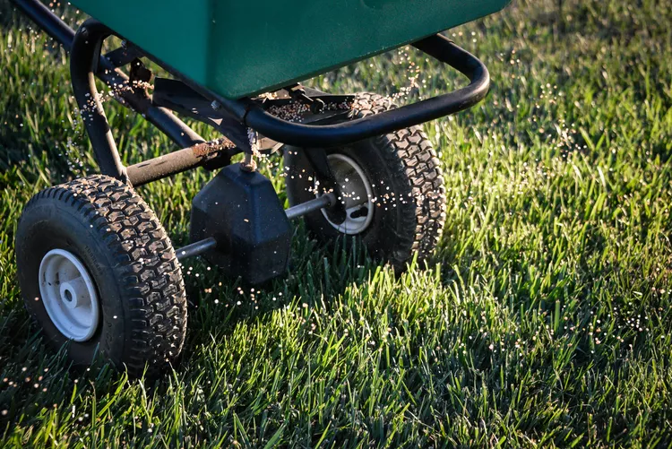 The Best Time to Add Fertilizer to Your Lawn Before Winter