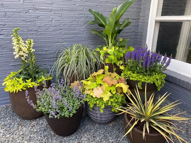 How to Choose the Best Plant Containers