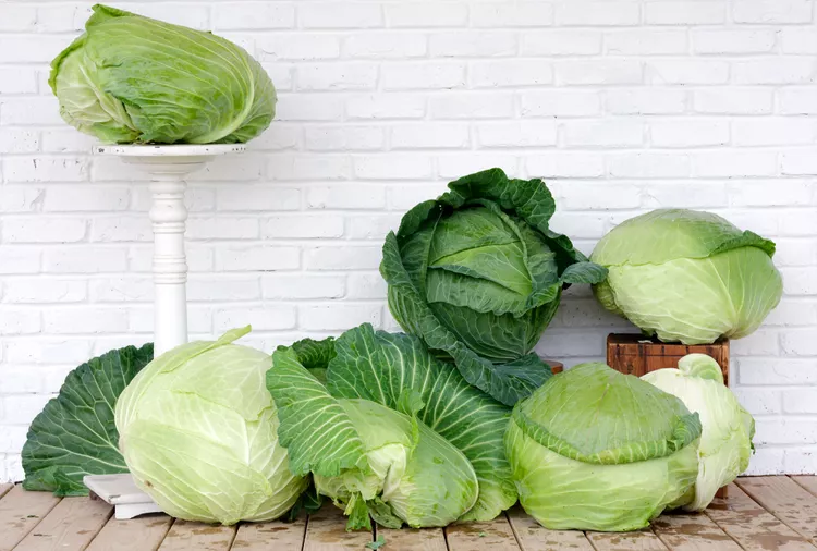 15 Giant Vegetable Varieties for Growing Tons of Produce