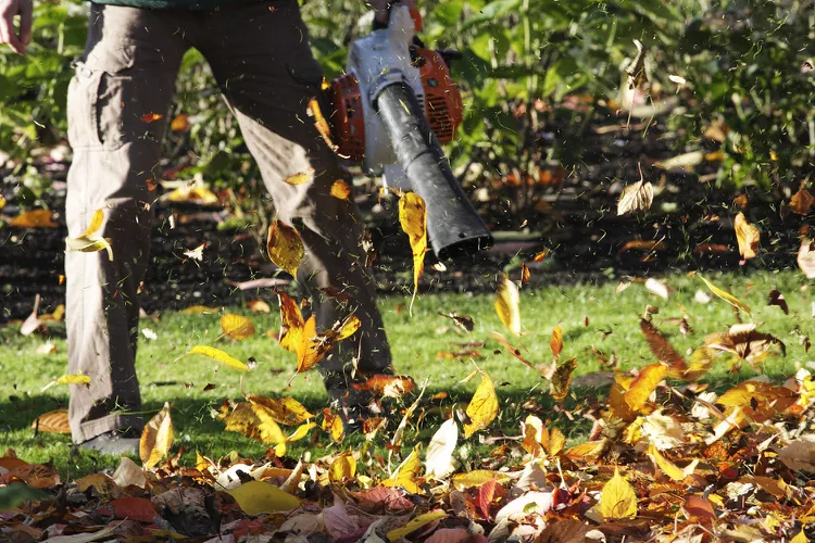 How to Properly Use a Leaf Blower 