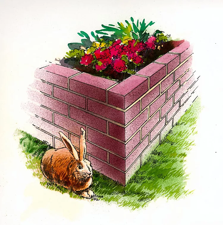 How to Build a Brick Raised Bed