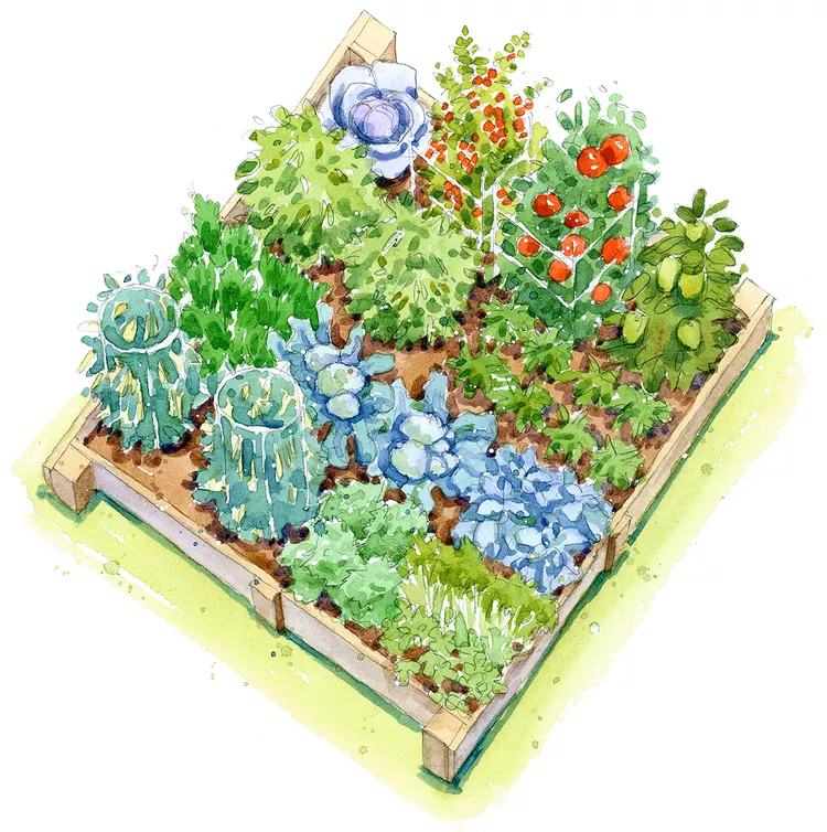 8 Free Vegetable Garden Plans to Bring a Harvest to Your Backyard