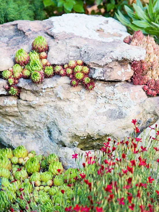 19 Rock Garden Ideas to Add Visual Interest to Your Landscape