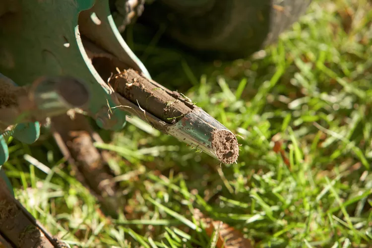 How to Aerate Your Lawn for Healthy, Green Grass