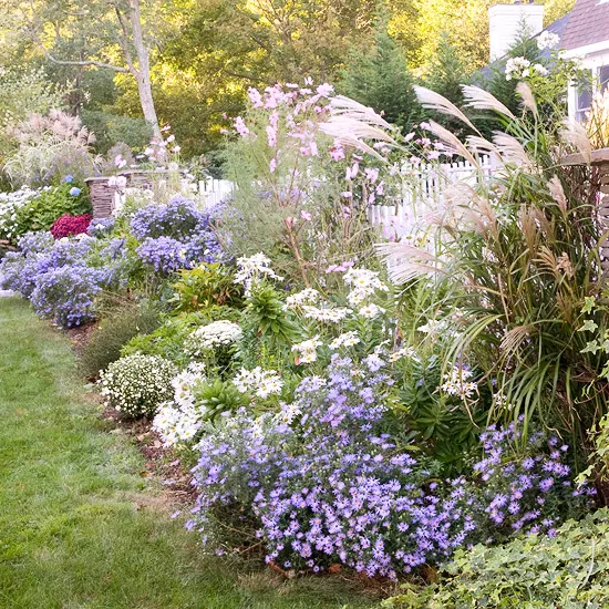 Sunny Landscape Ideas