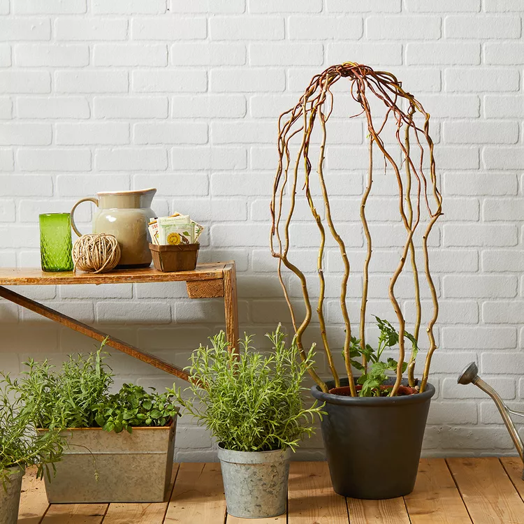 How to Make a Whimsical Plant Climbing Frame with Willow Branches