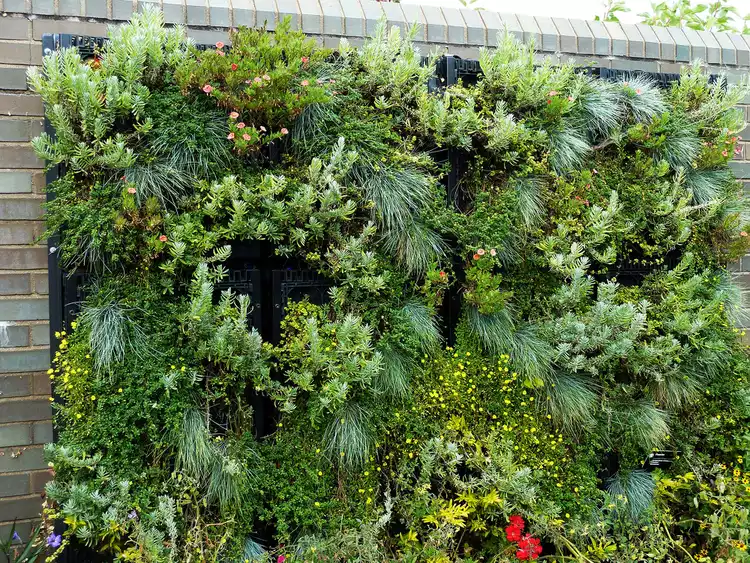 Add Vertical Gardening to Your Yard for Space-Saving Greenery 