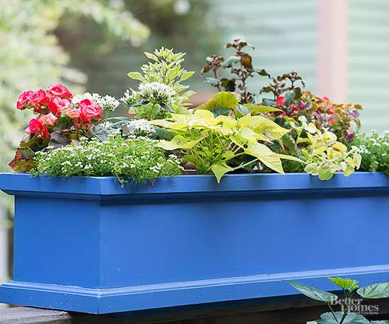 10 Container Gardening Mistakes Even Good Gardeners Make