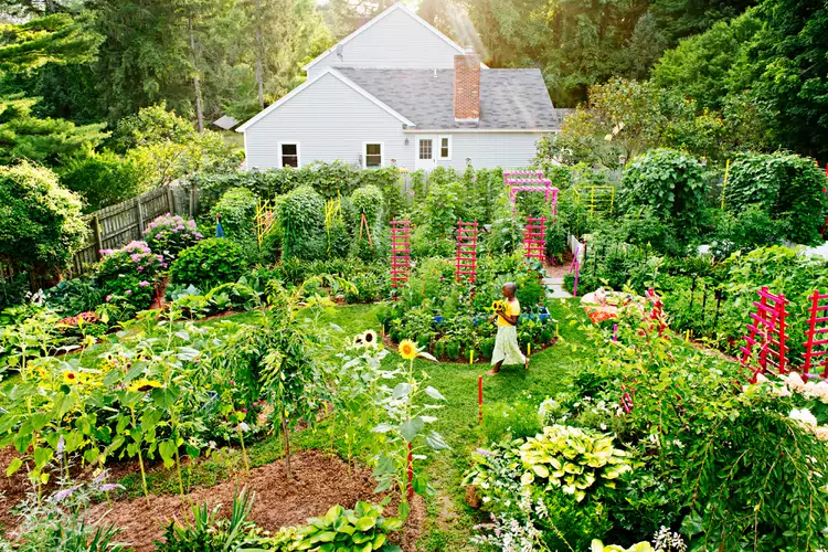 What Is a Permaculture Garden? Plus 12 Tips for Planting Your Own