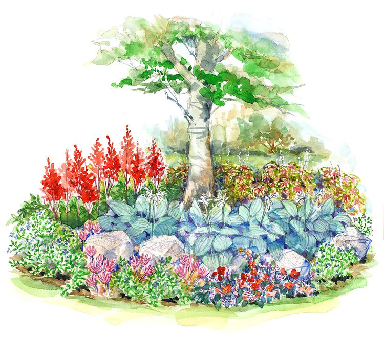 This Small-Space Shade Garden Plan Provides Three Seasons of Color