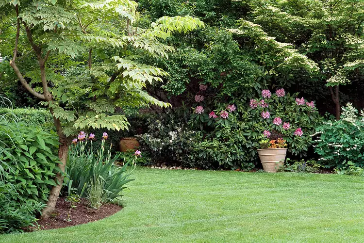 Easy Lawn Repair for Patchy Grass Using Seed or Sod