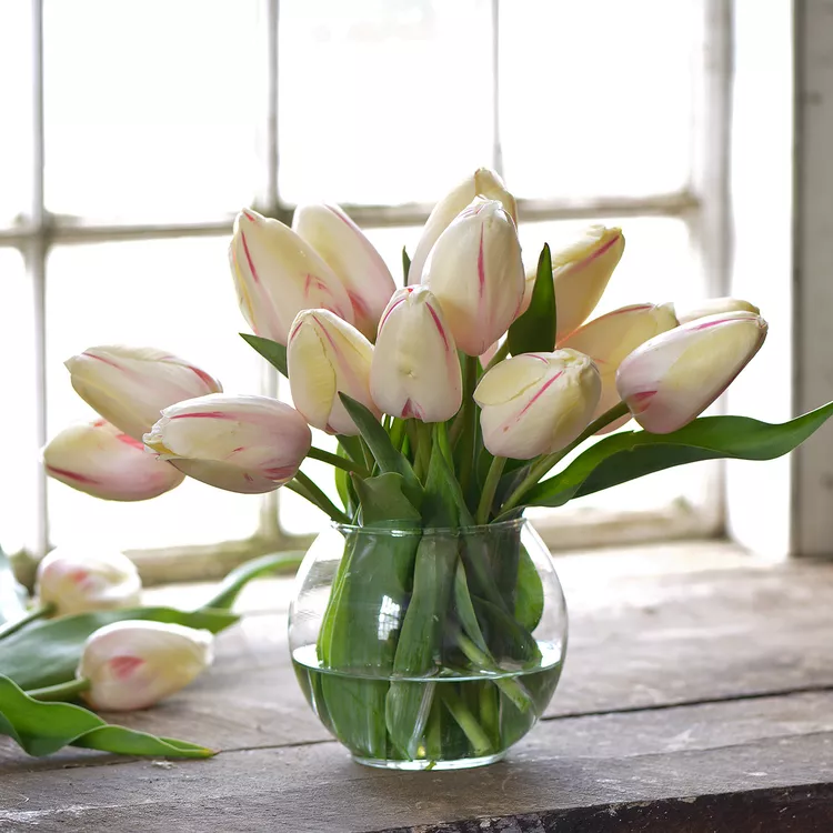 4 Simple Ways to Keep Tulips From Drooping in a Vase