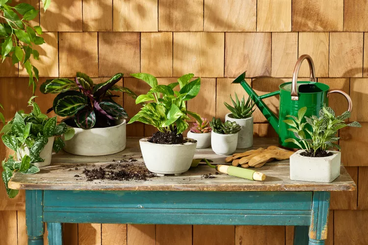 How to Make Easy Concrete Planters for Your Garden