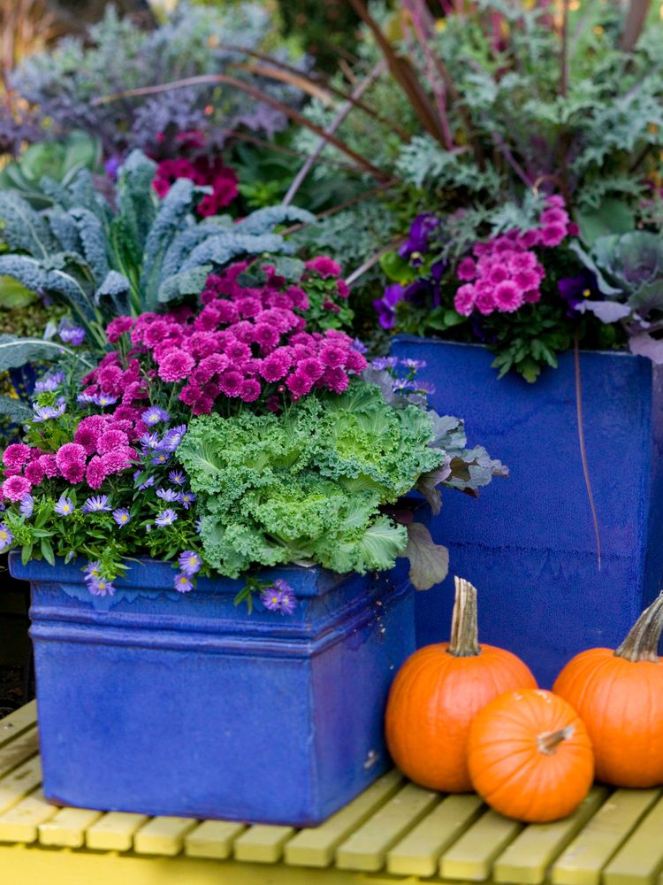 36 Fall Planters to Bring the Beauty of the Season to Your Doorstep