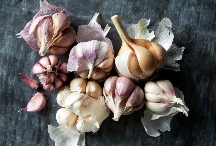 Which Types of Garlic Are Best to Grow in Your Garden?