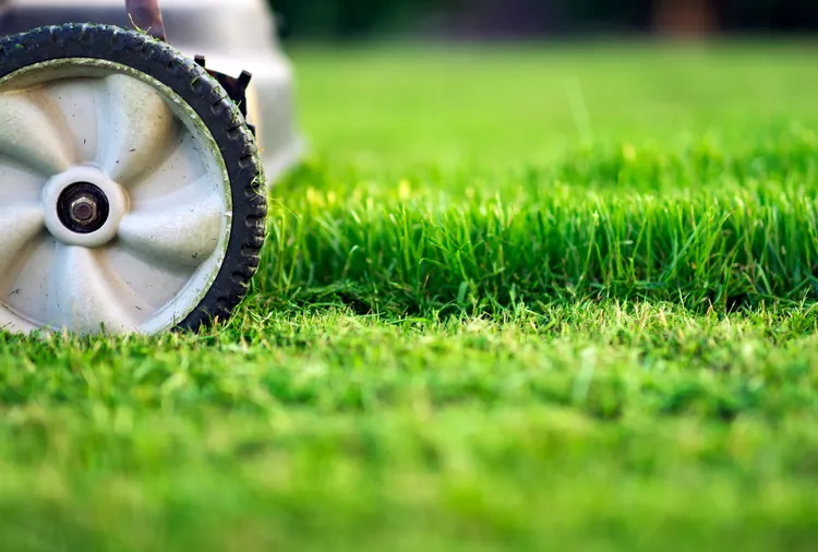 What’s the Best Height to Cut Grass? Here’s How to Set Your Mower Correctly