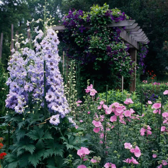 Perfect Pink and Purple Plant Combinations