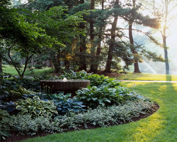 This Hosta-Filled Shade Garden Plan Is Perfect for Planting Around Trees
