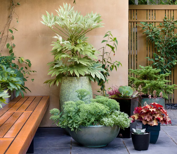 4 Must-Follow Steps to Keep Your Potted Plants Watered While You’re on Vacation