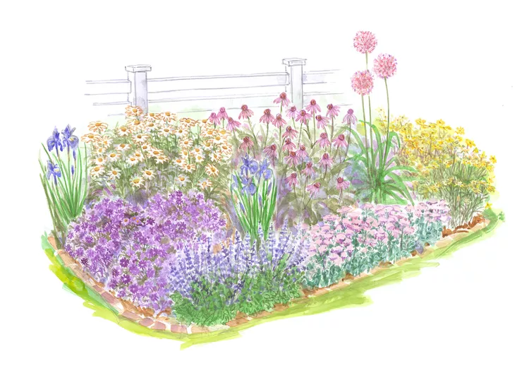 New to Perennial Gardening? Try This Beginner Garden Plan for Full Sun