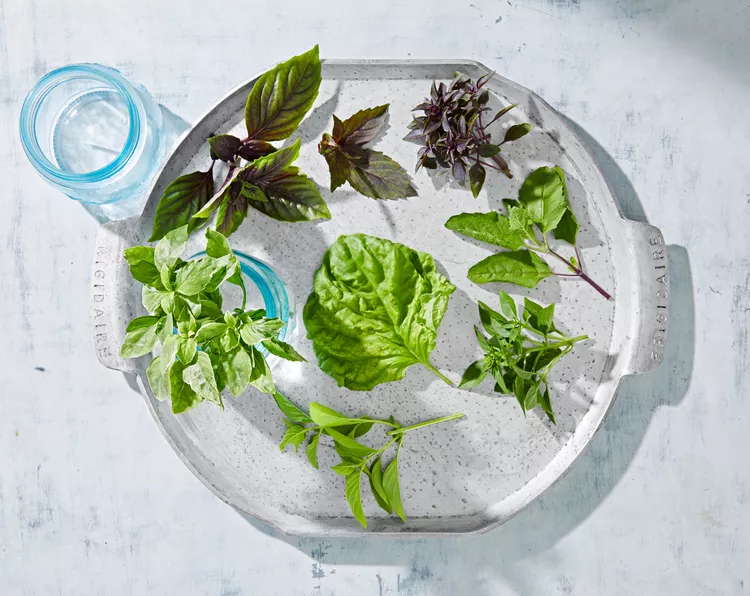 20 Best Types of Basil to Grow for Fresh Flavors