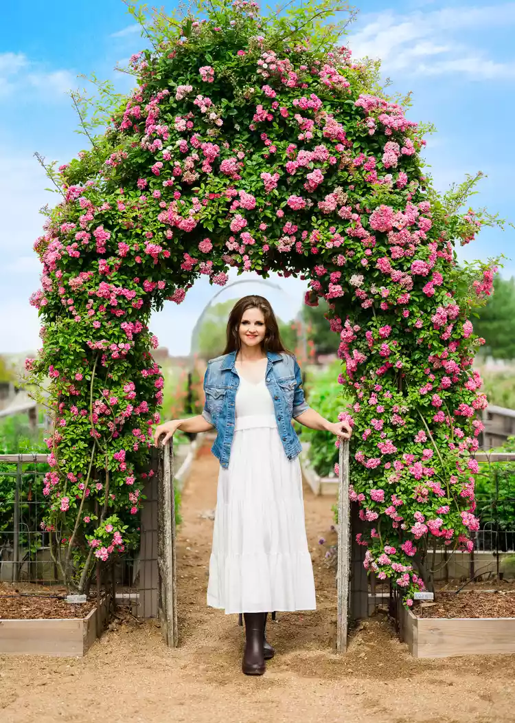 How to Create a Stunning Rose Arch Covered with Flowers