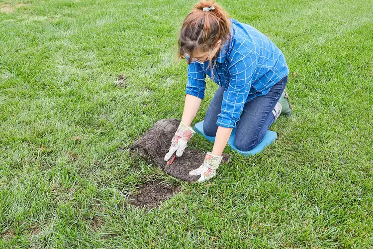 How to Plant Sod in 5 Simple Steps