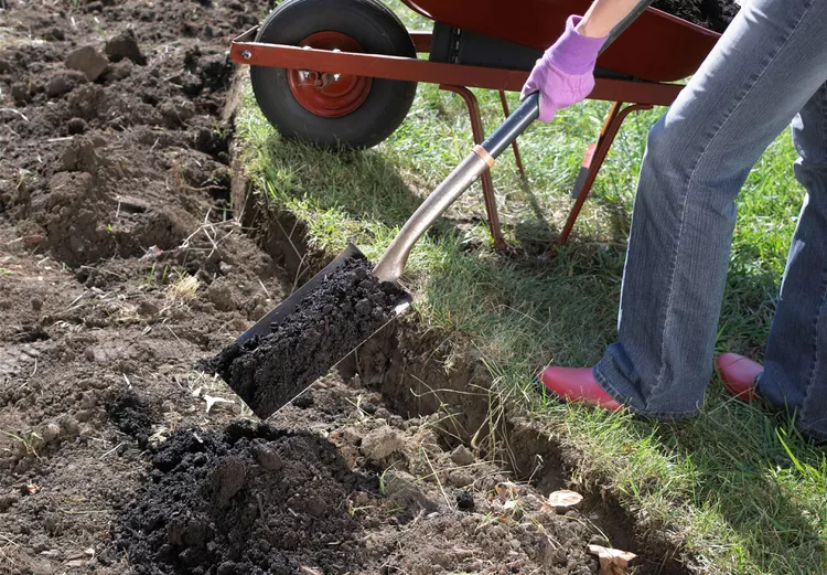 6 Soil Amendments That Will Help You Grow Healthier Plants