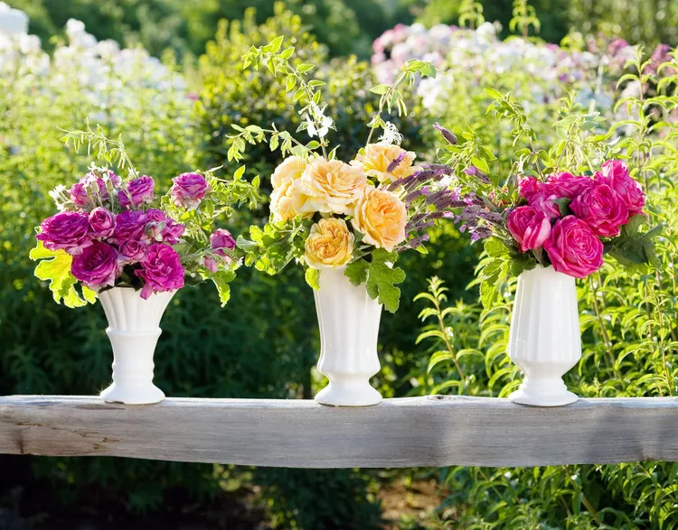 How to Plant a Cut Flower Garden for Filling Your Vases All Season