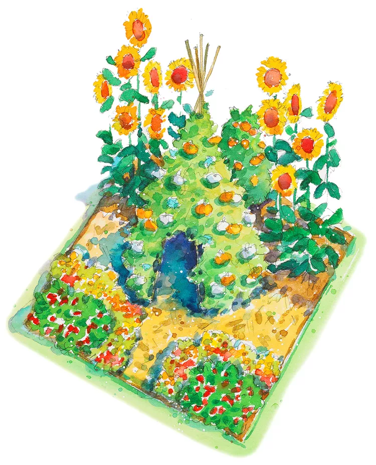 Children's Vegetable Garden Plan: Perfect for Kids to Grow Food!