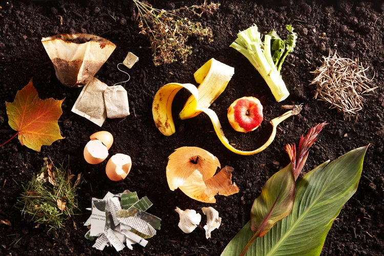 17 Everyday Items You Didn't Know You Could Compost