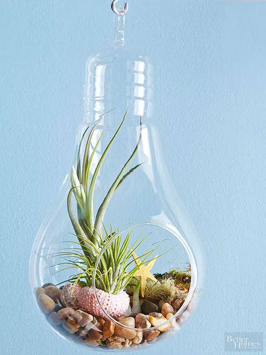 9 Terrarium Fairy Garden Ideas That Are Utterly Adorable 