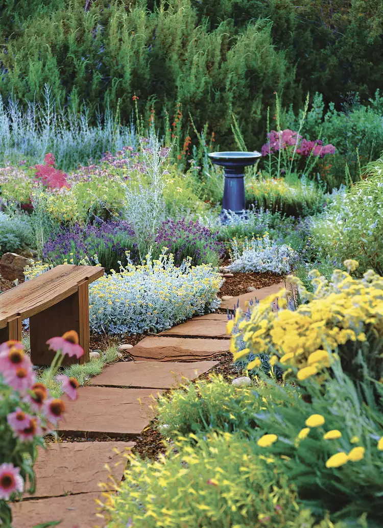 This Tough-as-Nails Perennial Garden Plan Has Fuss-Free Plants