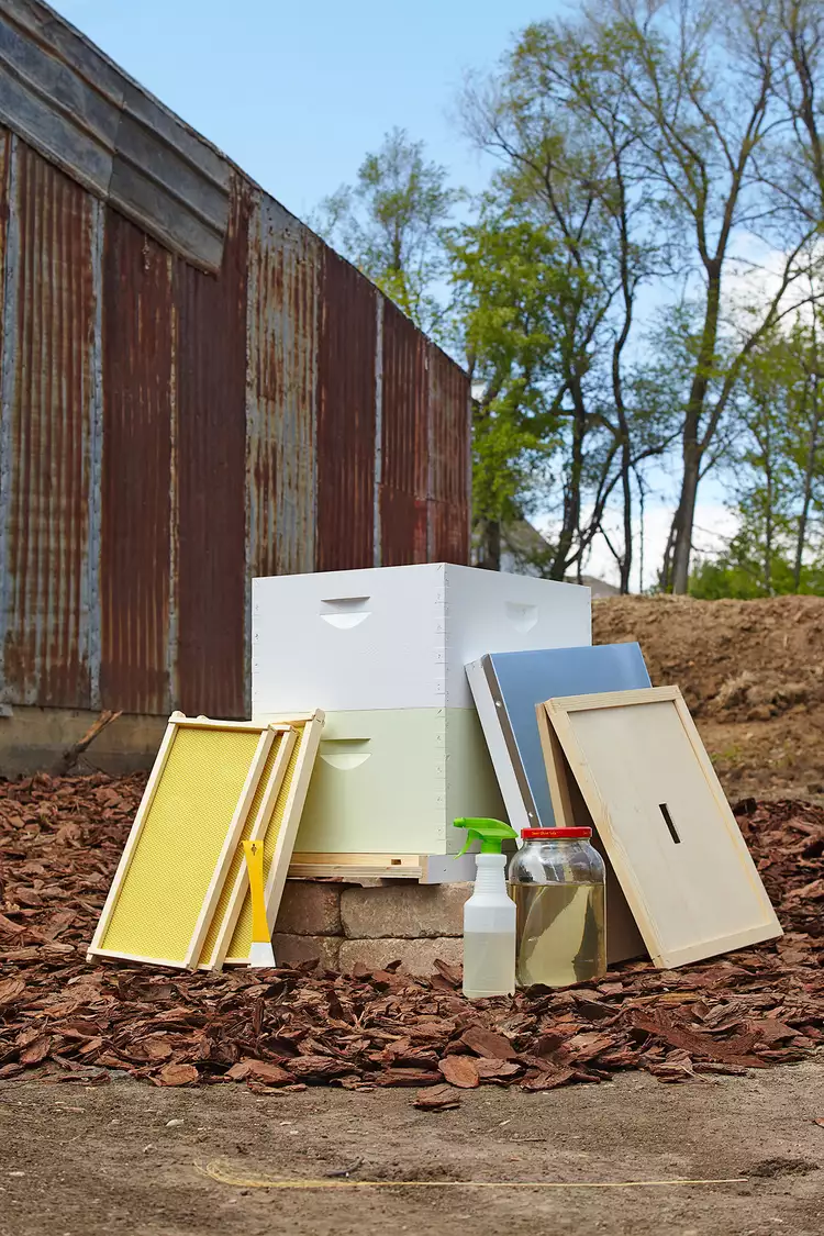 How to Start a Beehive in Your Backyard in 5 Simple Steps