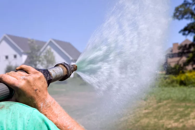 Try Hydroseeding to Quickly Fill in Your Patchy Lawn