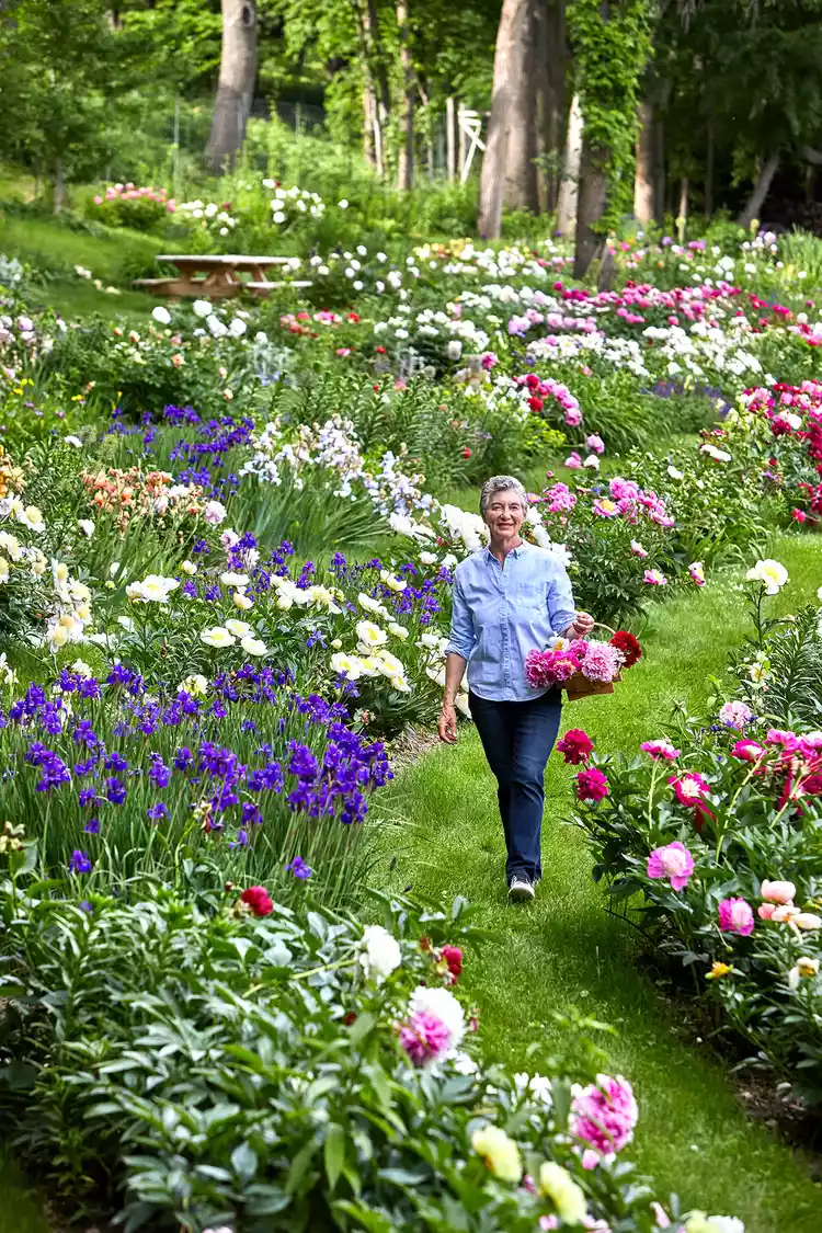 This Midwestern Peony Garden Is Filled with Thousands of Blossoms