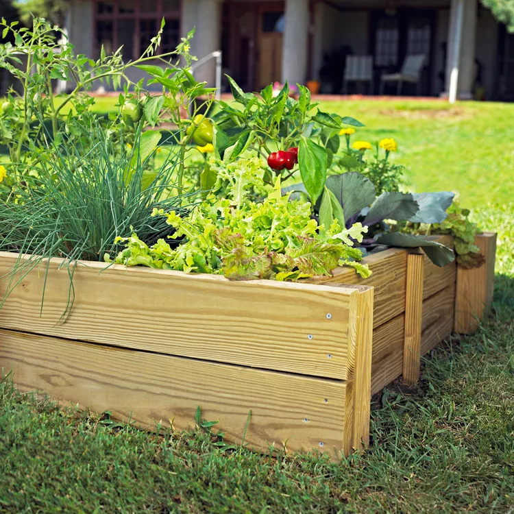 How to Build a Raised Garden Bed for Easier Veggie or Flower Planting