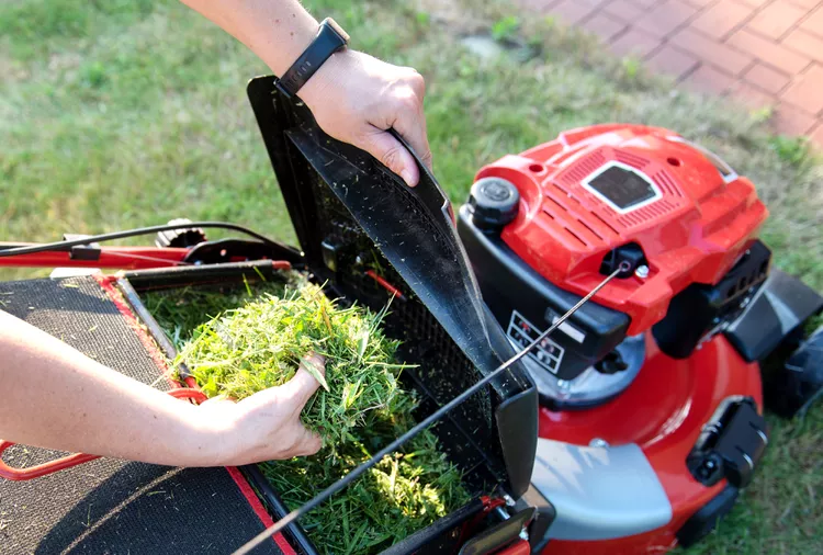 Pros and Cons of Mulching vs. Bagging Grass When You Mow