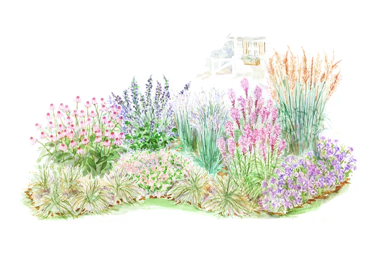 This Prairie Garden Plan Spotlights Pretty Native Plants