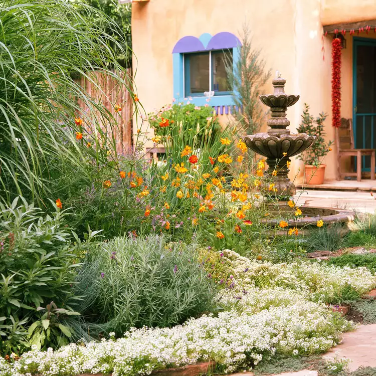 This Drought-Tolerant Garden Plan Saves Water and Time