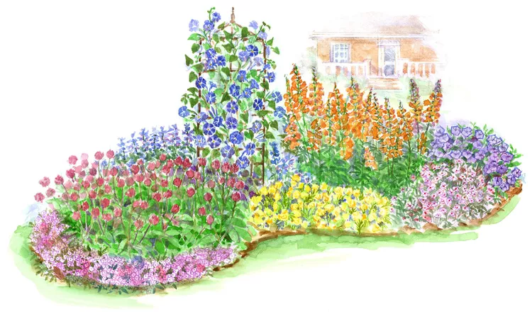 This Annual Garden for Full Sun Will Fill Your Yard with Color