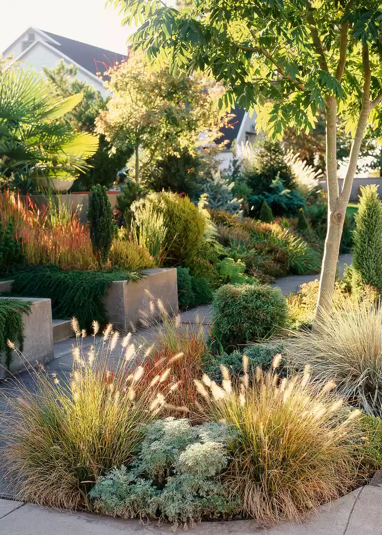 11 Drought-Tolerant Landscaping Ideas That Save Water and Look Amazing