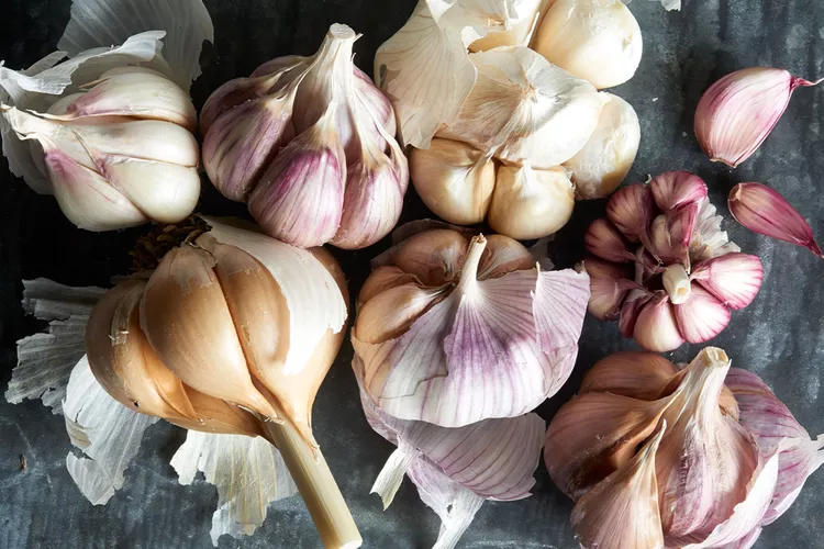 Can You Plant Garlic in the Spring? With These Must-Know Tips, You Can