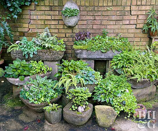 Why Hypertufa Troughs Are a Garden Must-Have