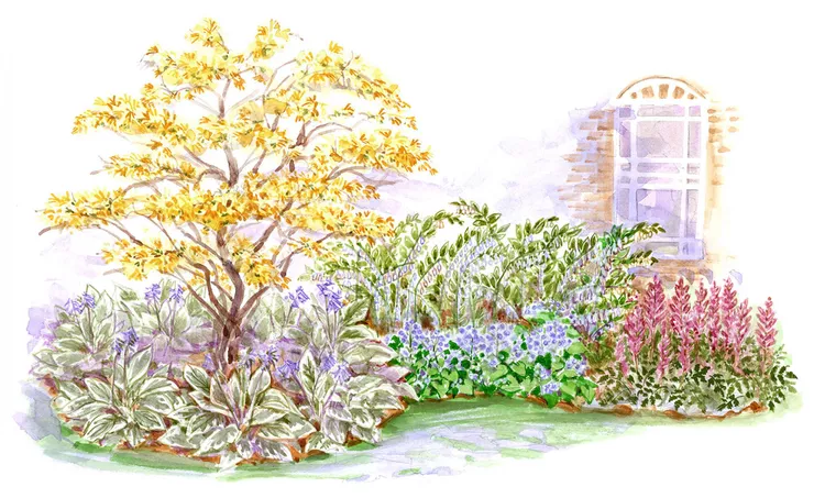 New to Gardening? Use This Beginner Garden for Shade Plan to Get Started