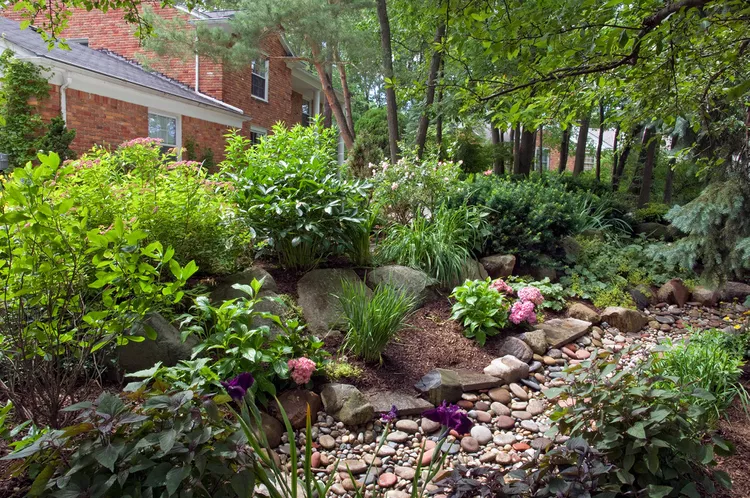 How to Make a Simple Rain Garden to Solve Stormwater Problems