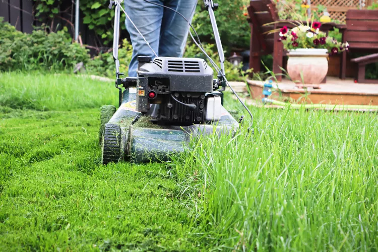 Can You Mow Wet Grass? The Answer, Plus 7 Mowing Tips